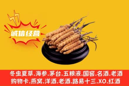 淮安洪泽区回收冬虫夏草